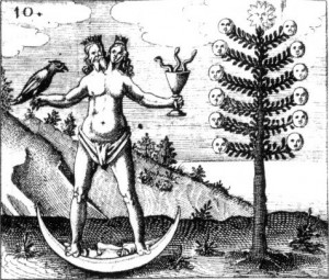 Thérapie Symbolique Avancée — Hypnoses Humaniste